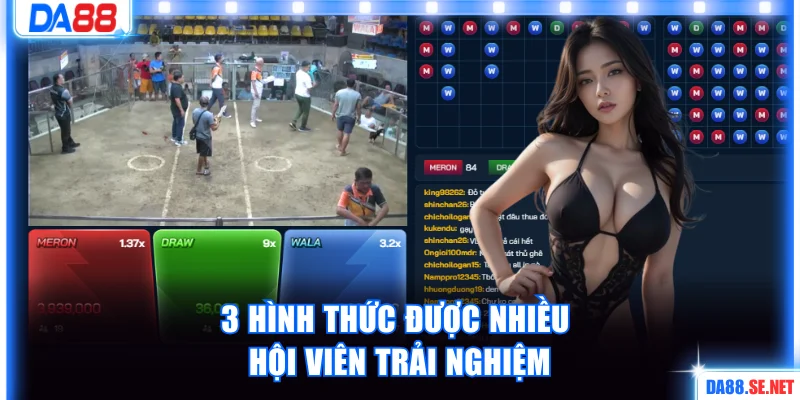 3 hình thức được nhiều hội viên trải nghiệm