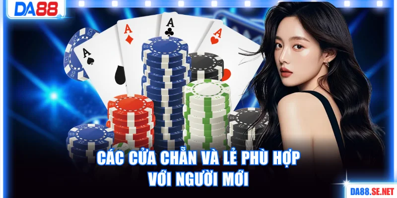 Các cửa chẵn và lẻ phù hợp với người mới